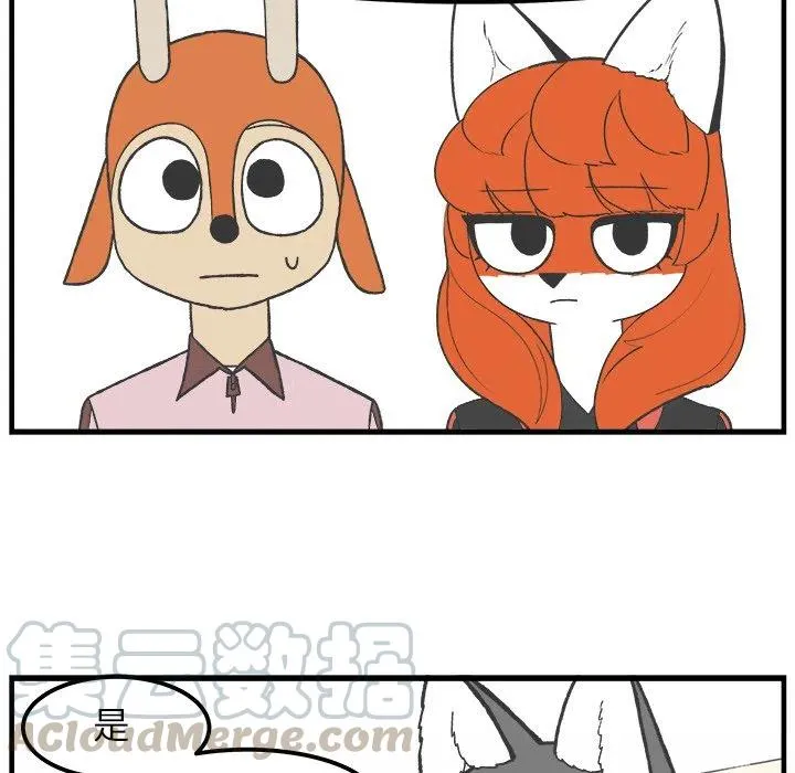 49 第34页