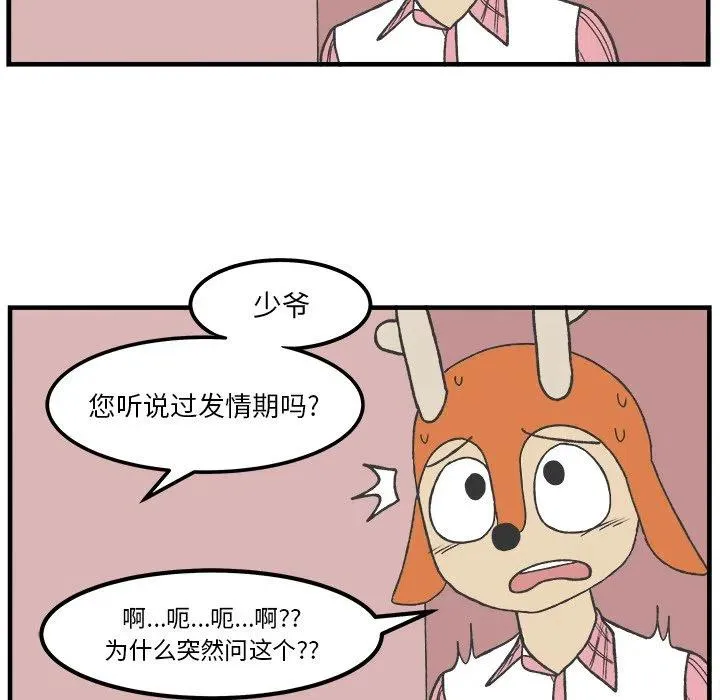 49 第50页