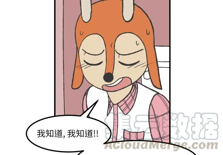 50 第4页