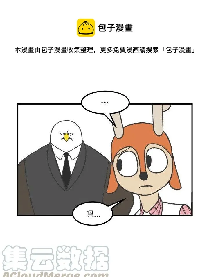 50 第13页