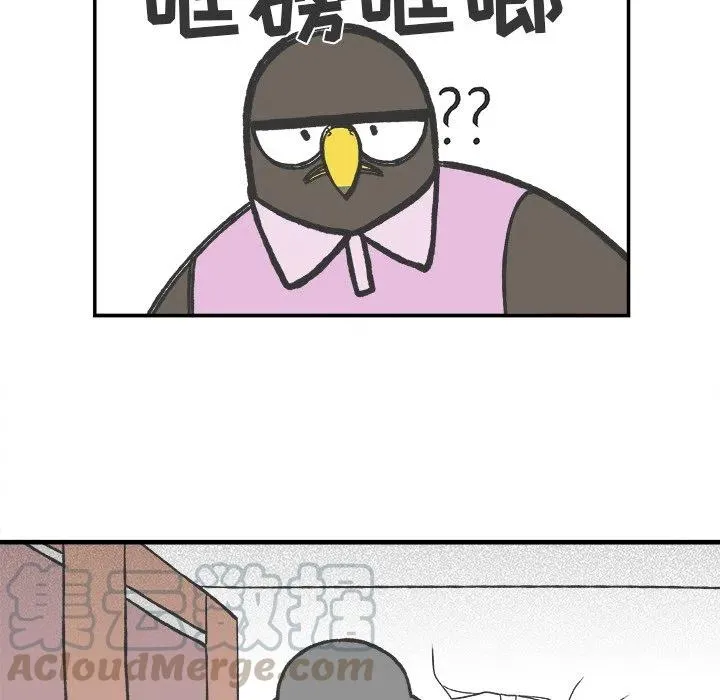 50 第16页