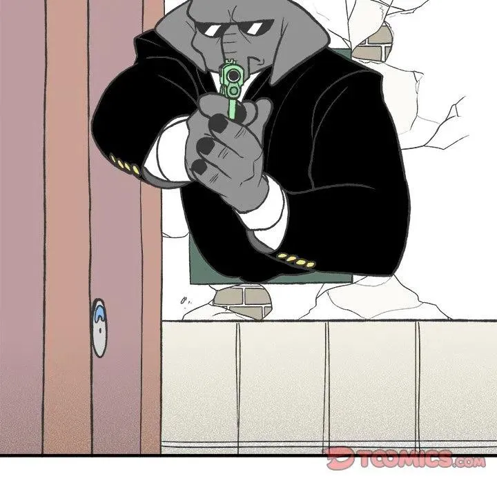 50 第17页