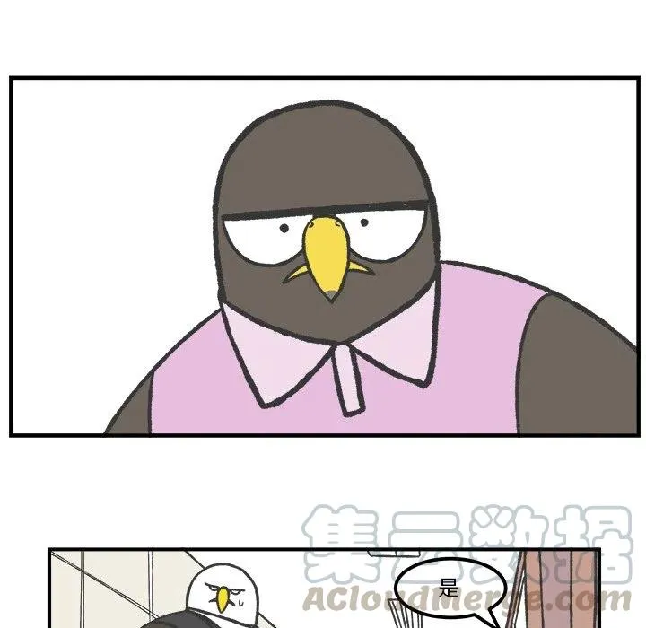 50 第19页