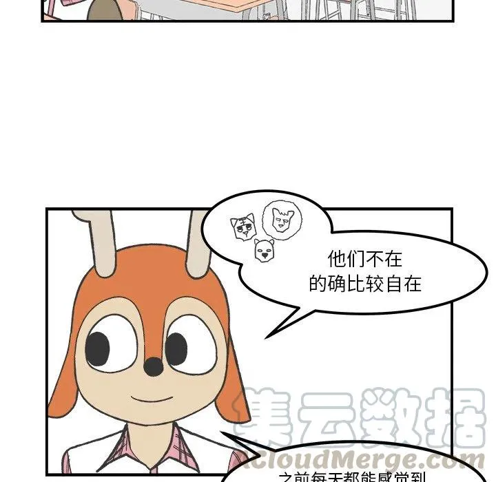 50 第25页