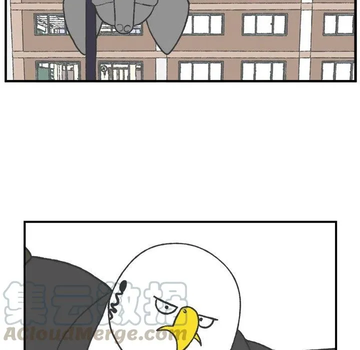 50 第28页