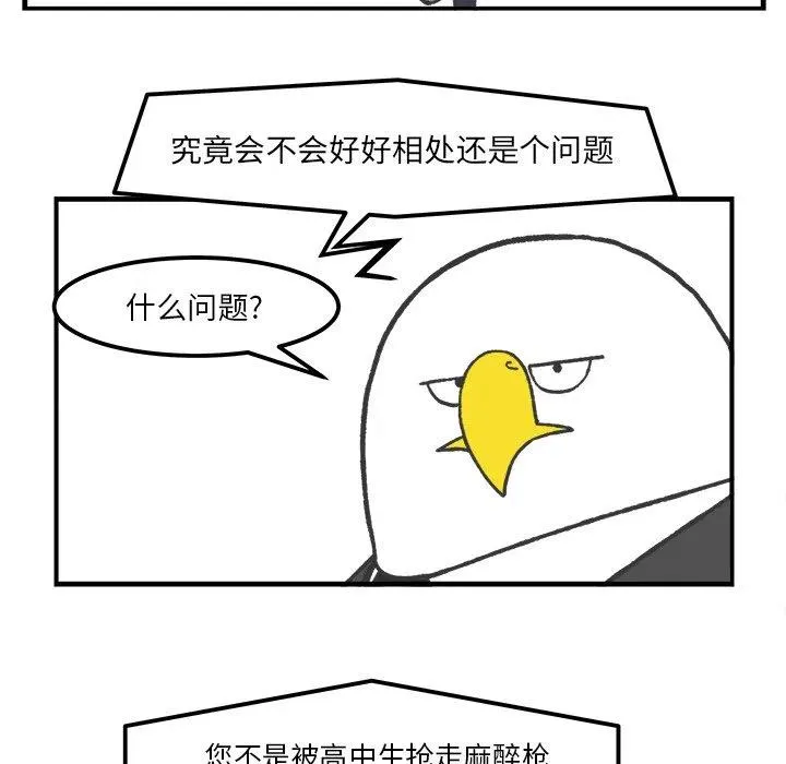 50 第41页
