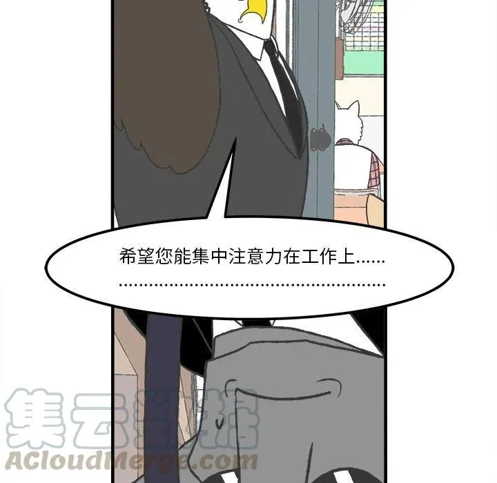 51 第11页