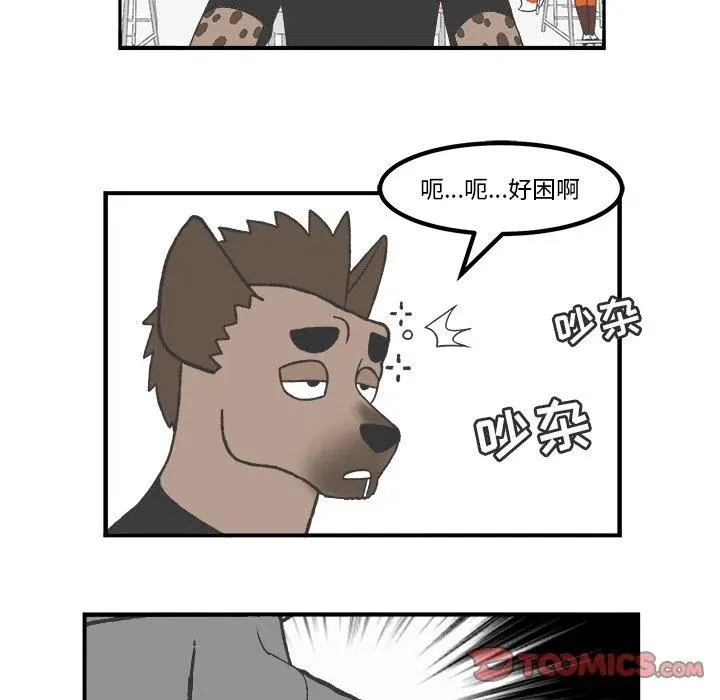 51 第16页