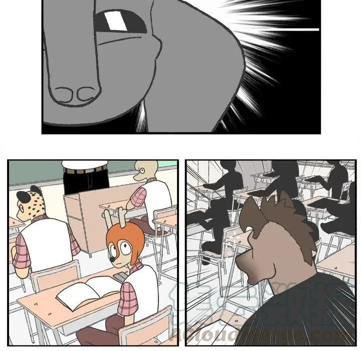 51 第17页