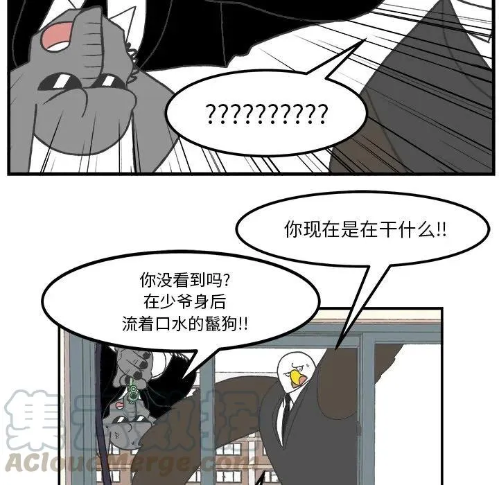 51 第19页
