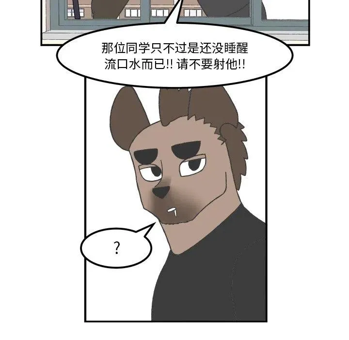 51 第20页