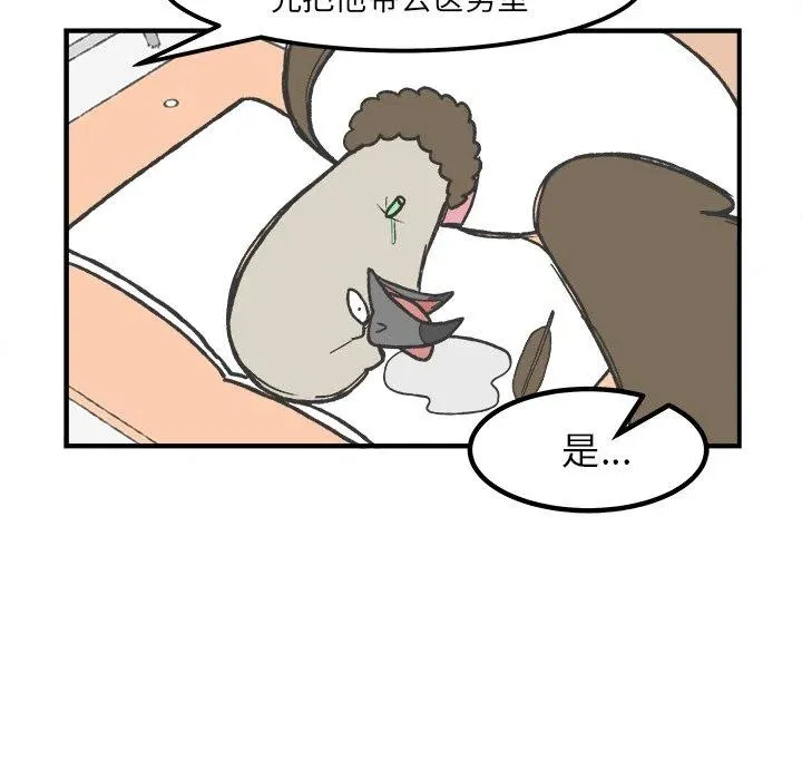 51 第28页