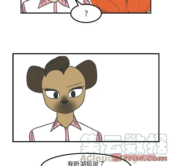 51 第31页