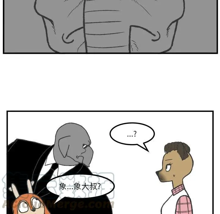 51 第37页