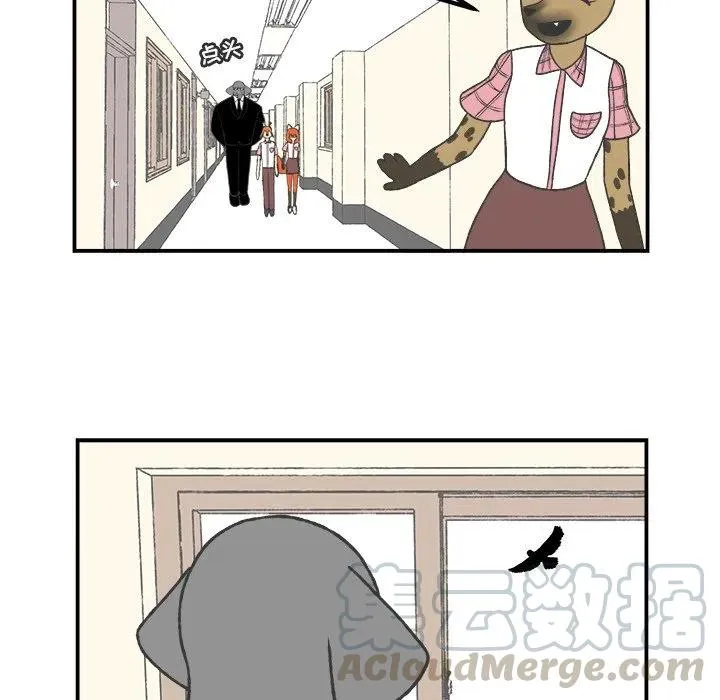51 第39页