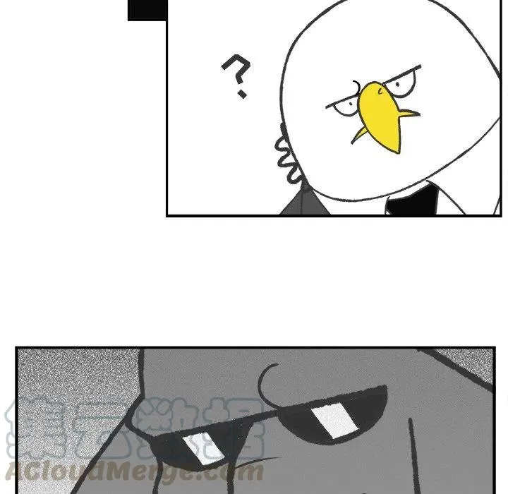 51 第41页