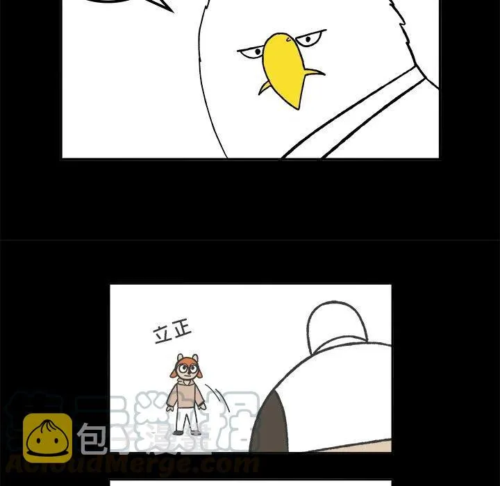 52 第46页