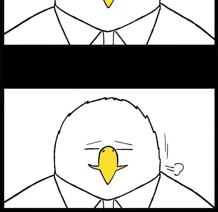 52 第51页