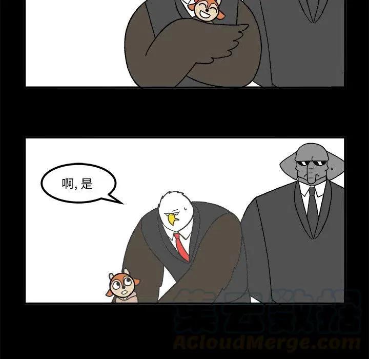 53 第43页