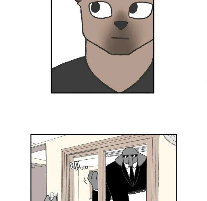 54 第26页