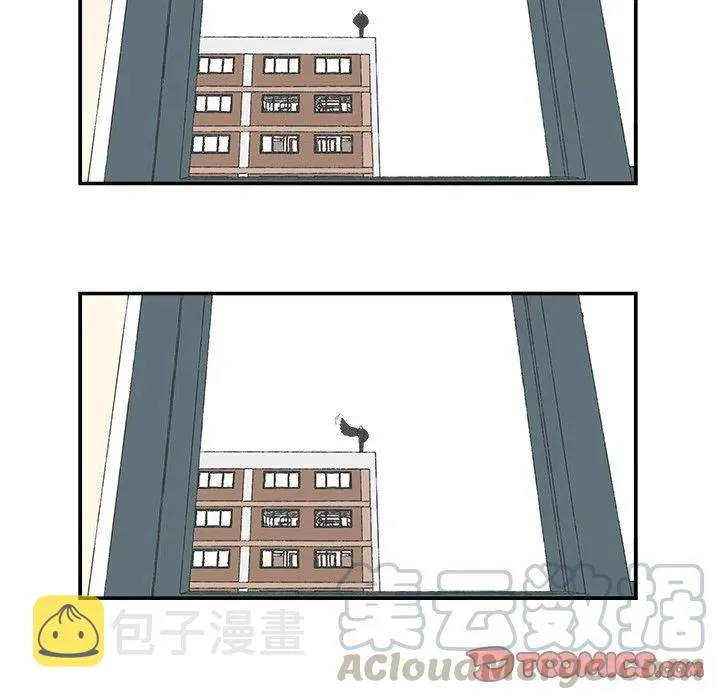 54 第31页