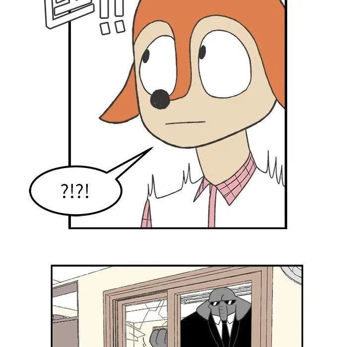 54 第33页