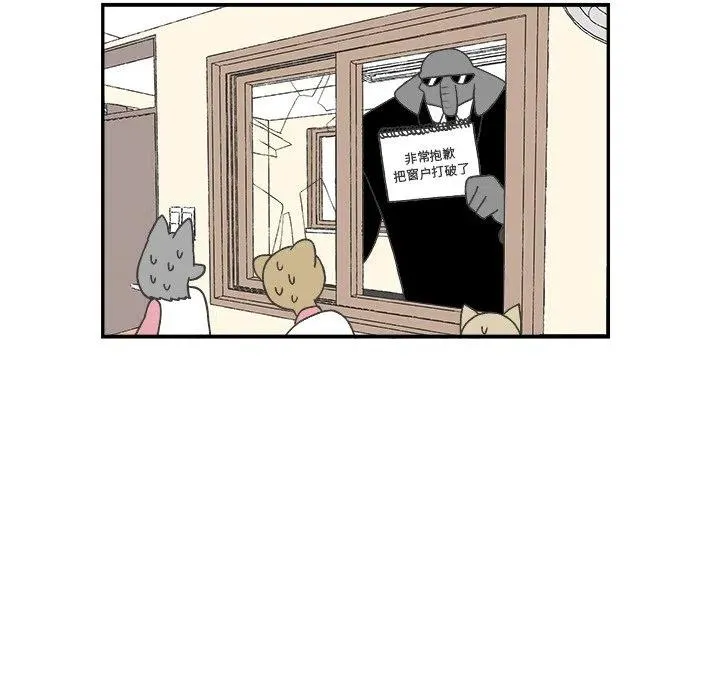 54 第36页