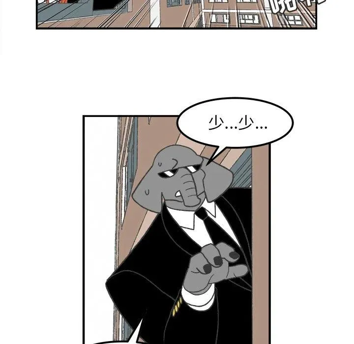 55 第11页