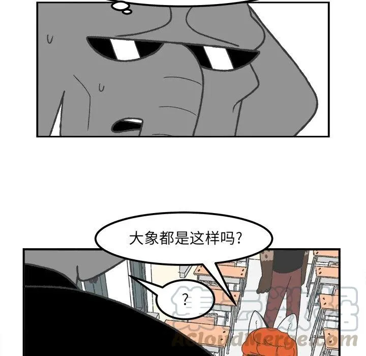 55 第13页
