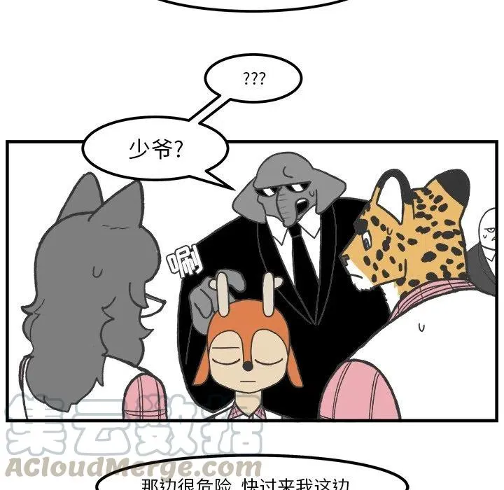55 第40页