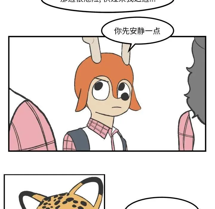 55 第41页