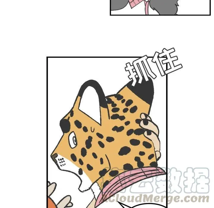 55 第43页