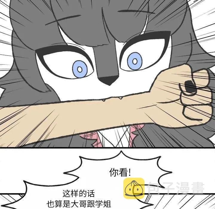 55 第45页