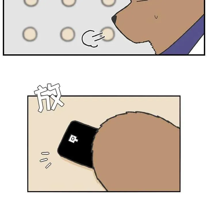 56 第23页