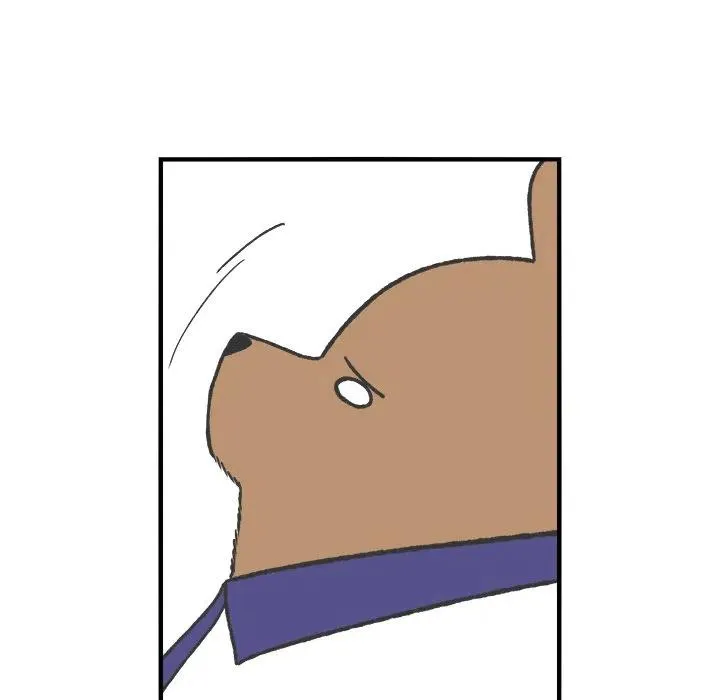 56 第24页