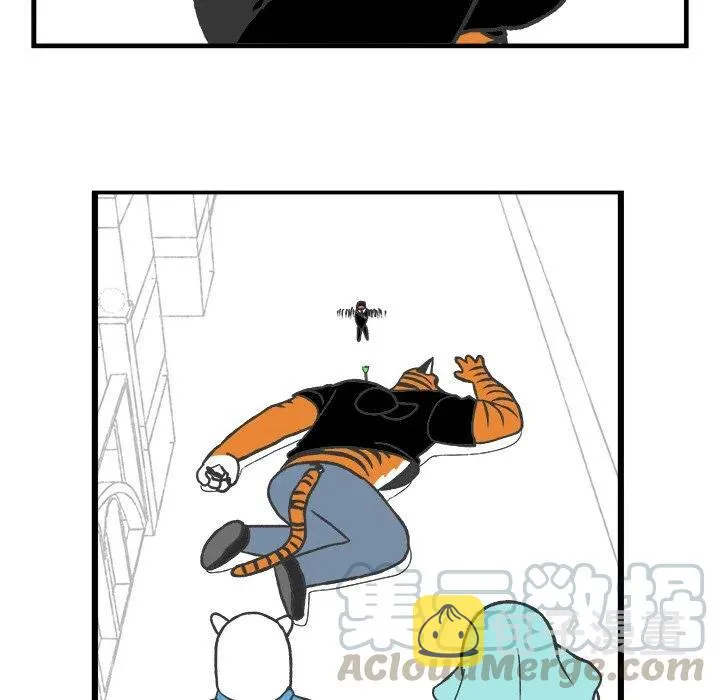 57 第16页
