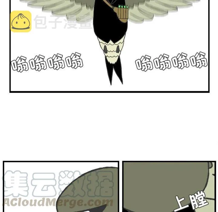 57 第19页