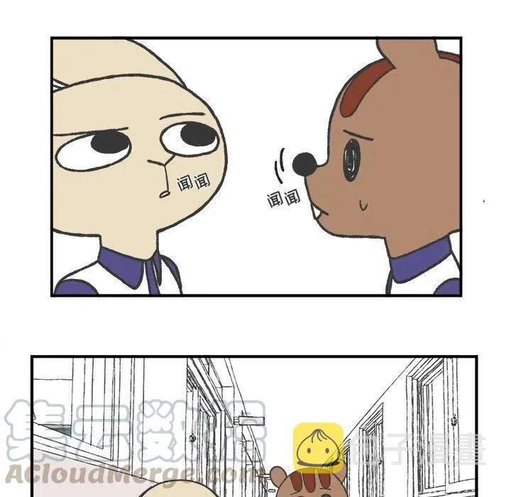 58 第13页