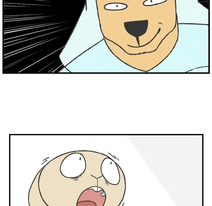 58 第26页