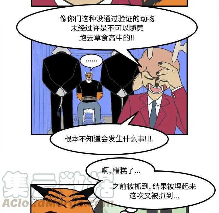 60 第15页