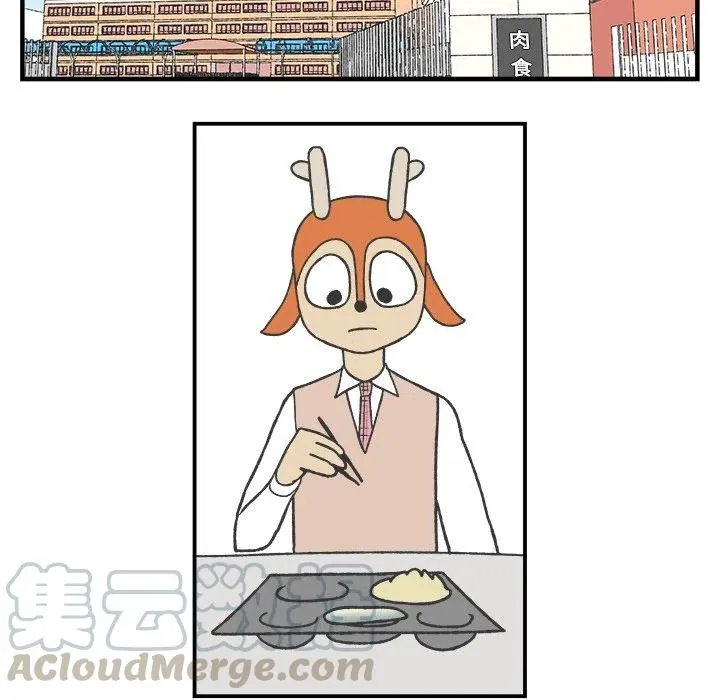 61 第10页