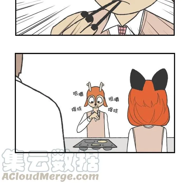 61 第13页
