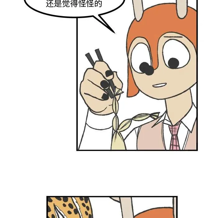61 第17页