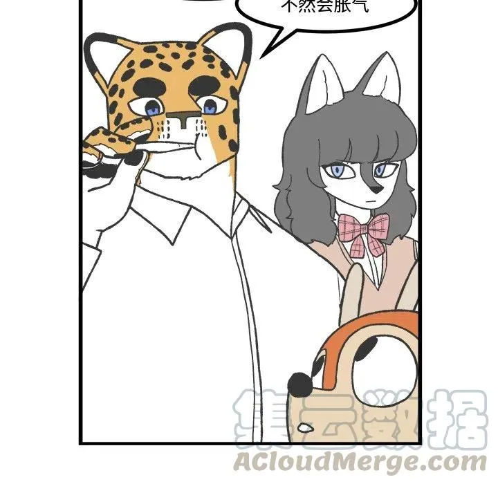 61 第19页