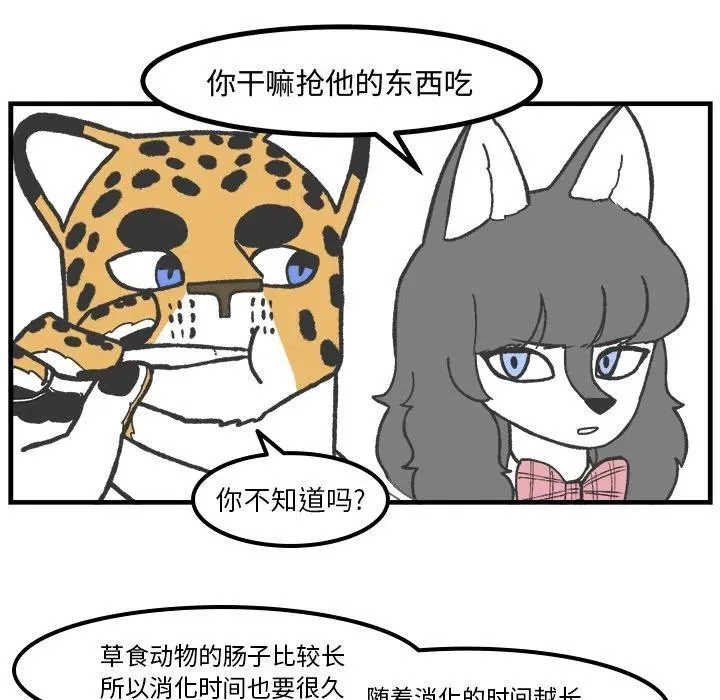 61 第20页