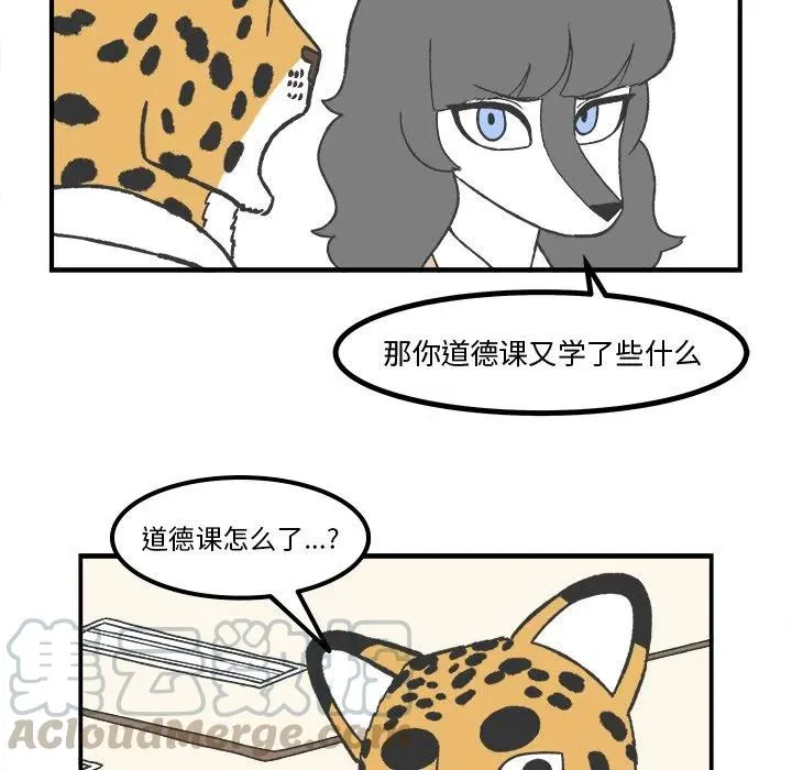 61 第22页