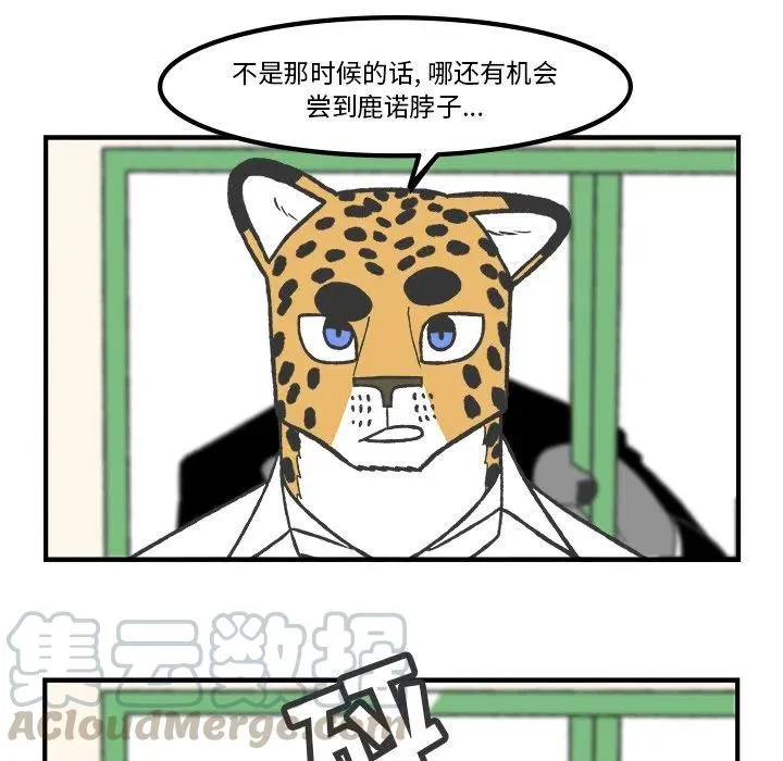 61 第34页