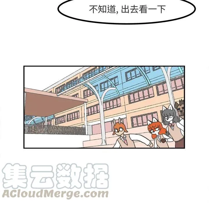 61 第43页
