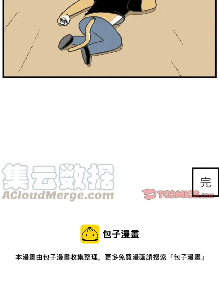 61 第46页