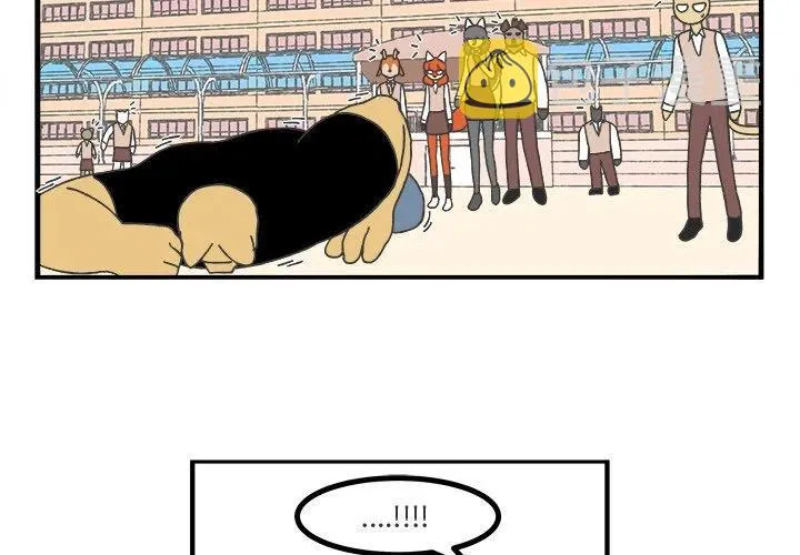 62 第2页